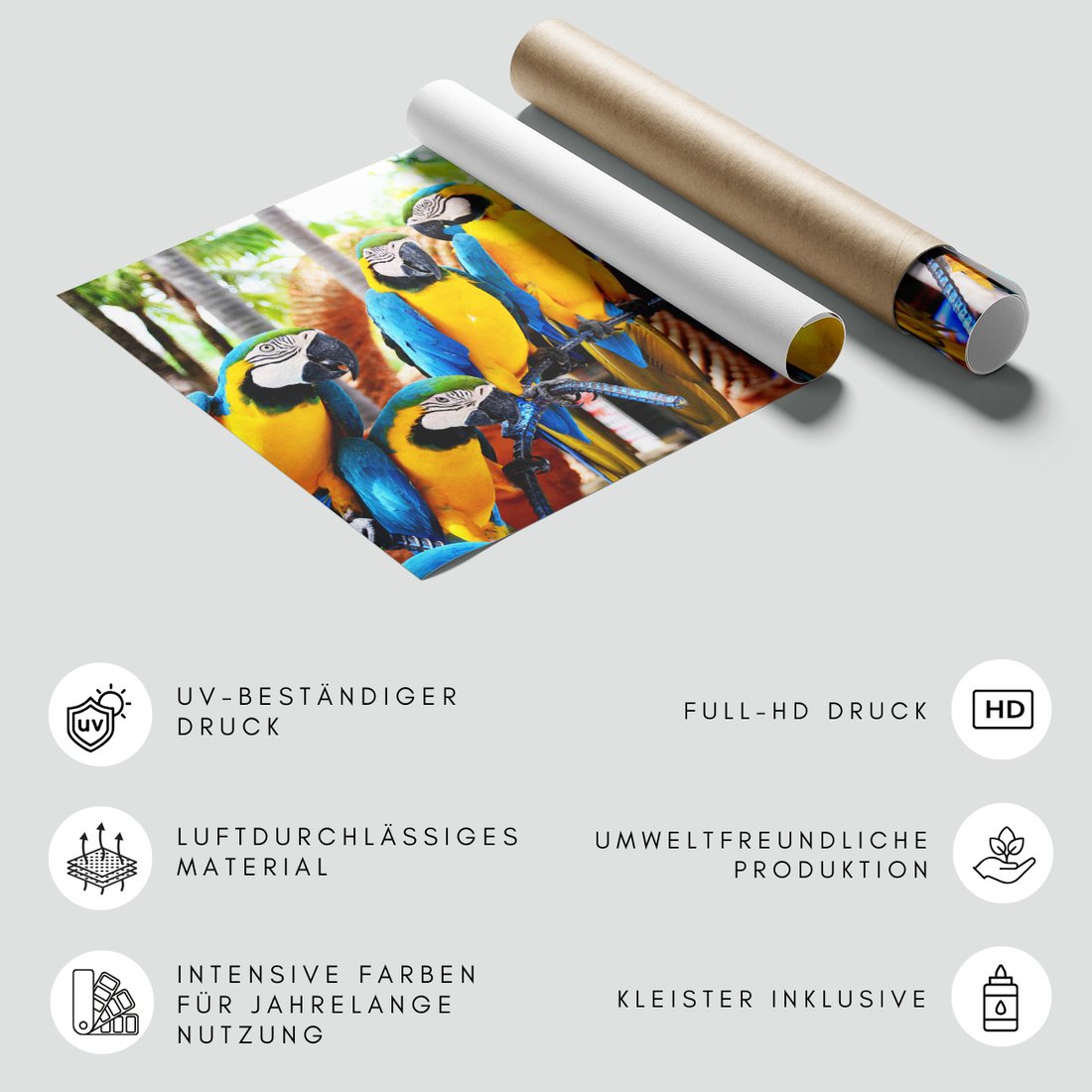 Fototapeta - papugi, ptaki, egzotyczne