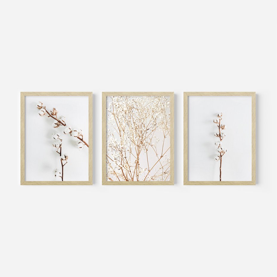 Zestaw obrazy w ramie, plakaty - bawełna, gałązki, delikatny - rama drewno
