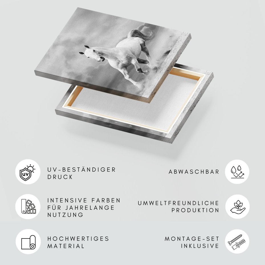 Obraz na płótnie - koń, zwierzę, galop