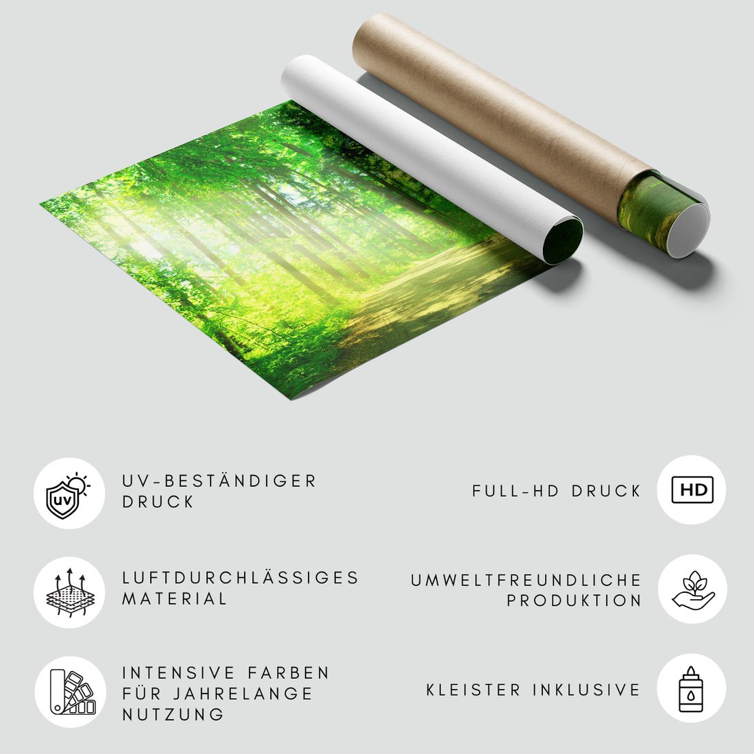 Fototapeta - las, drzewa, przyroda