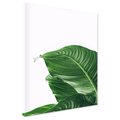 Obraz na płótnie - liść, zieleń, natura