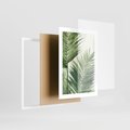 Zestaw obrazy w ramie, plakaty - liście, tropikalny, rośliny - rama biała