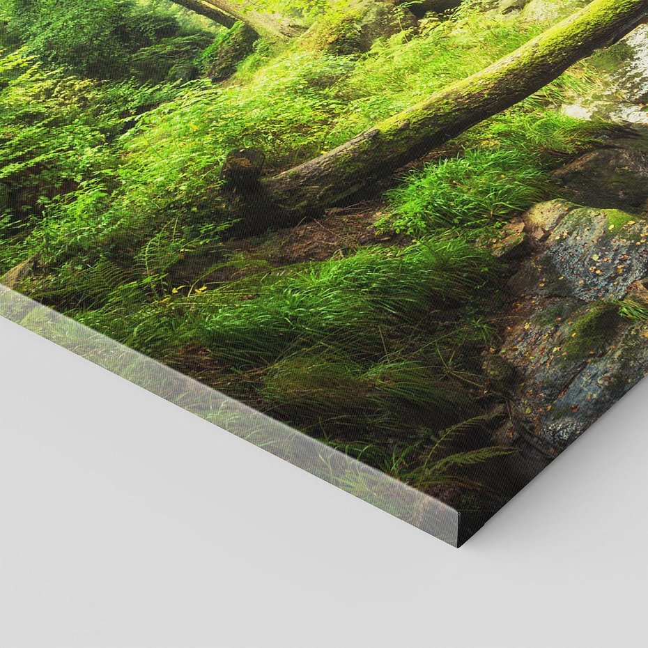 Obraz na płótnie - las, wodospad, potok