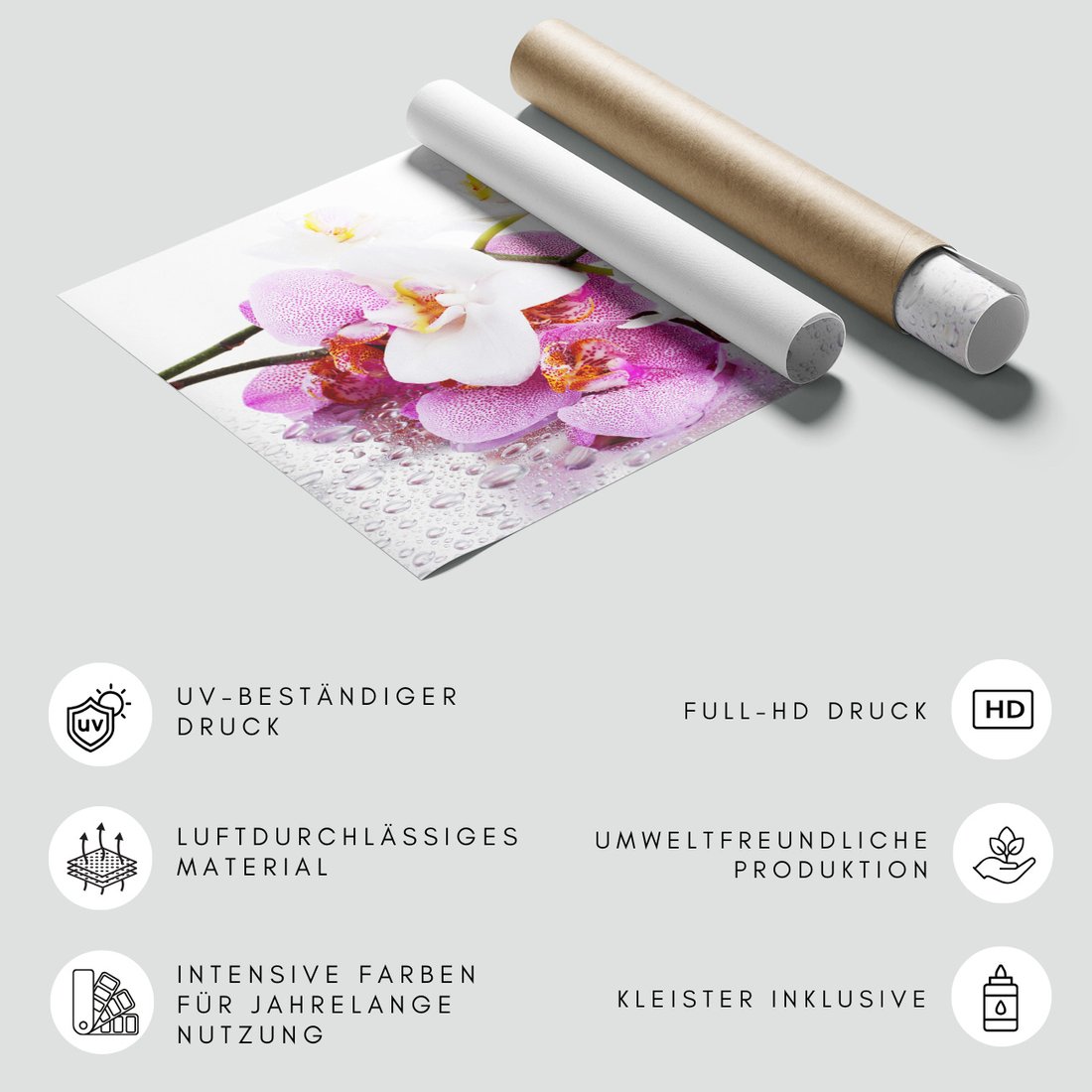 Fototapeta - kwiaty, orchidee, krople