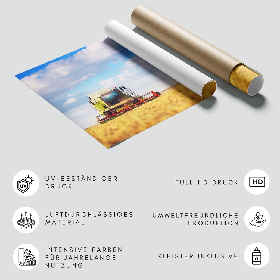 Fototapeta - kombajn, zboże, pole