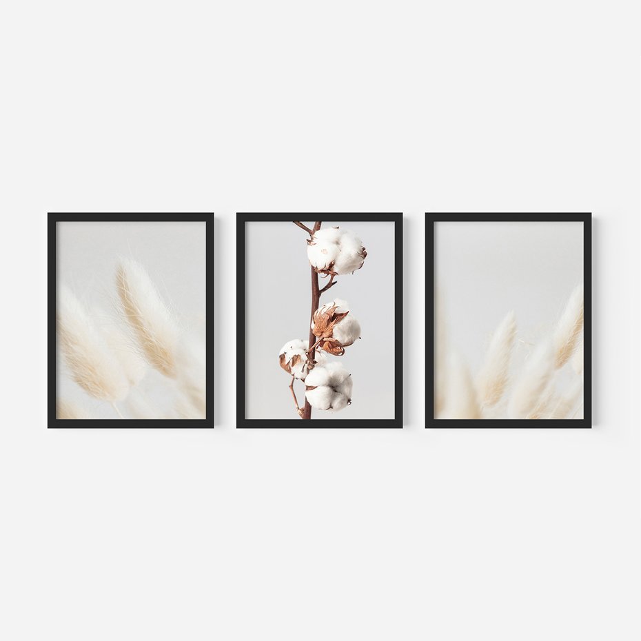 Zestaw obrazy w ramie, plakaty - bawełna, trawa, puszysty - rama czarna