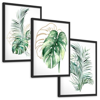 Zestaw obrazy w ramie, plakaty - liście, monstera, rośliny - rama czarna