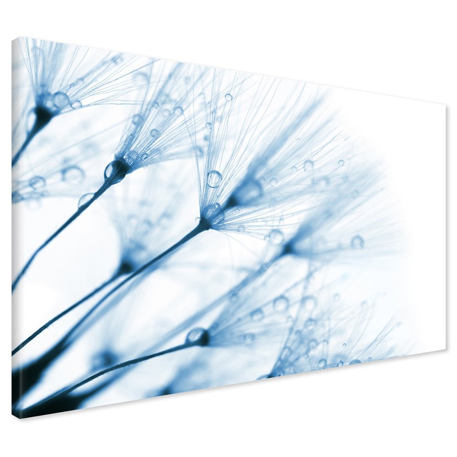 Obraz na płótnie - dmuchawiec, krople, natura