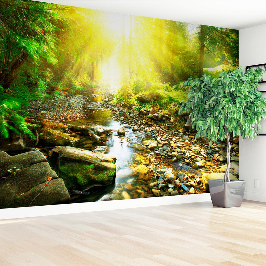 Fototapeta - las, potok, natura