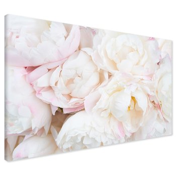 Obraz na płótnie - piwonie, kwiaty, delikatne