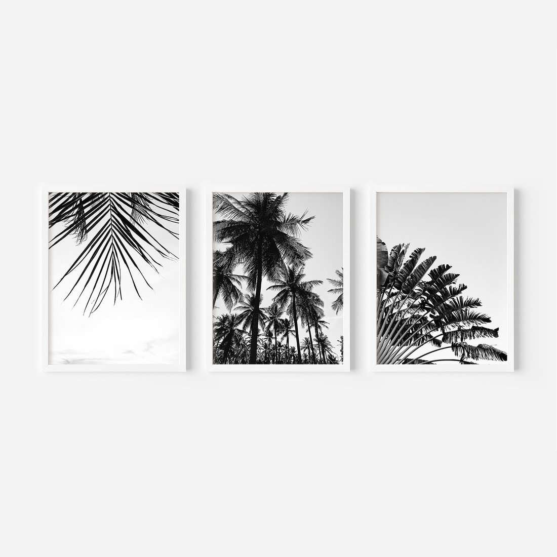 Zestaw obrazy w ramie, plakaty - palmy, liście, tropikalne - rama biała