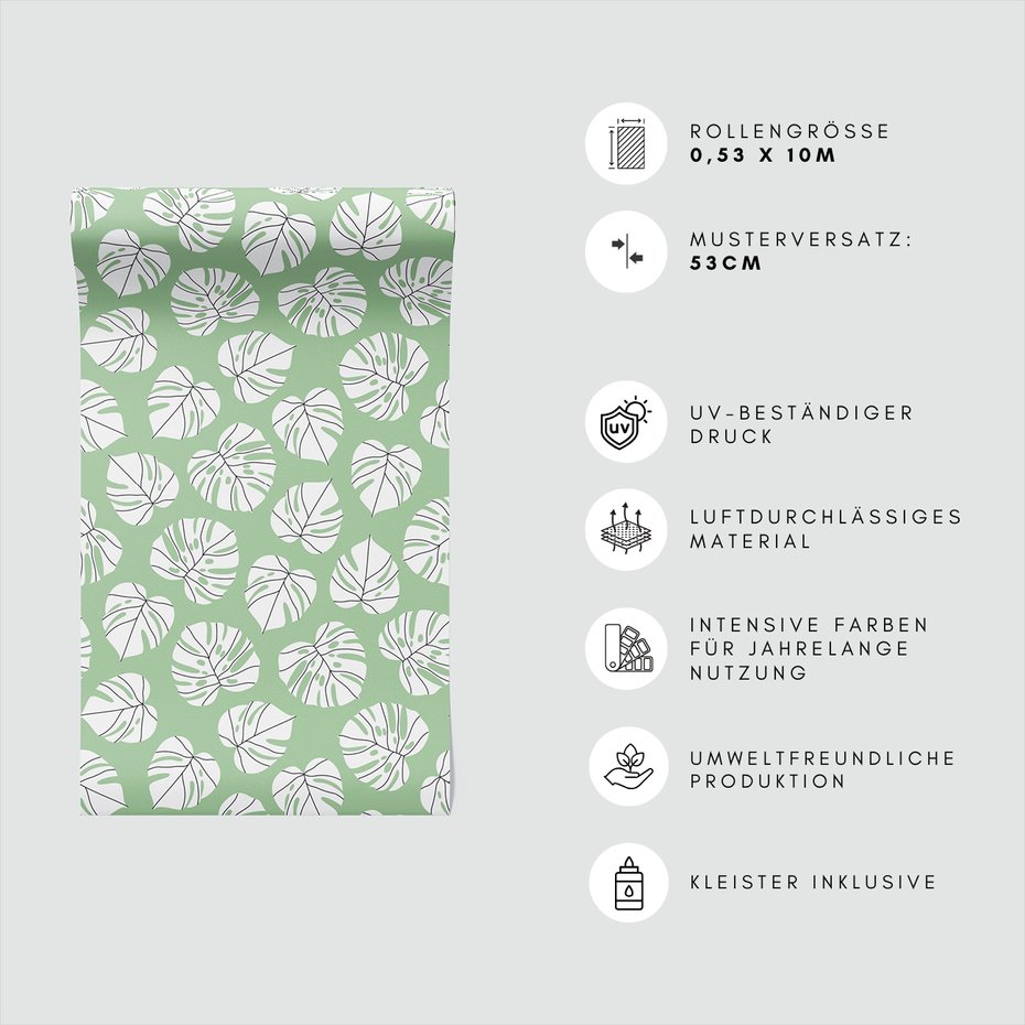 Tapeta - liście, monstera, natura