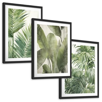 Zestaw obrazy w ramie, plakaty - liście, tropikalny, rośliny - rama czarna
