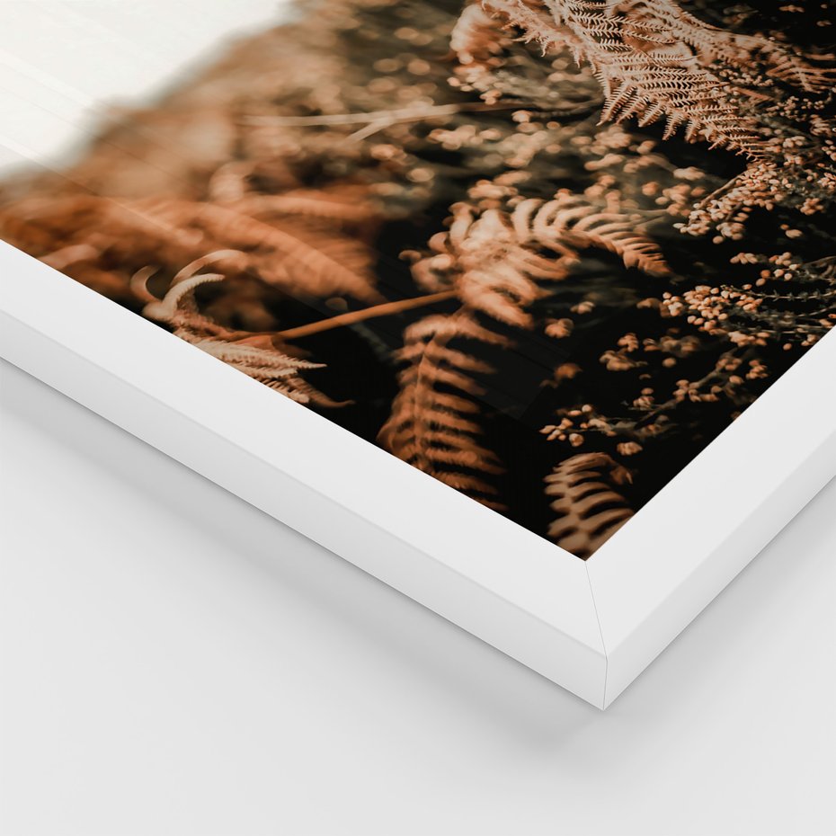 Zestaw obrazy w ramie, plakaty - liście, roślinność, brązowy - rama biała