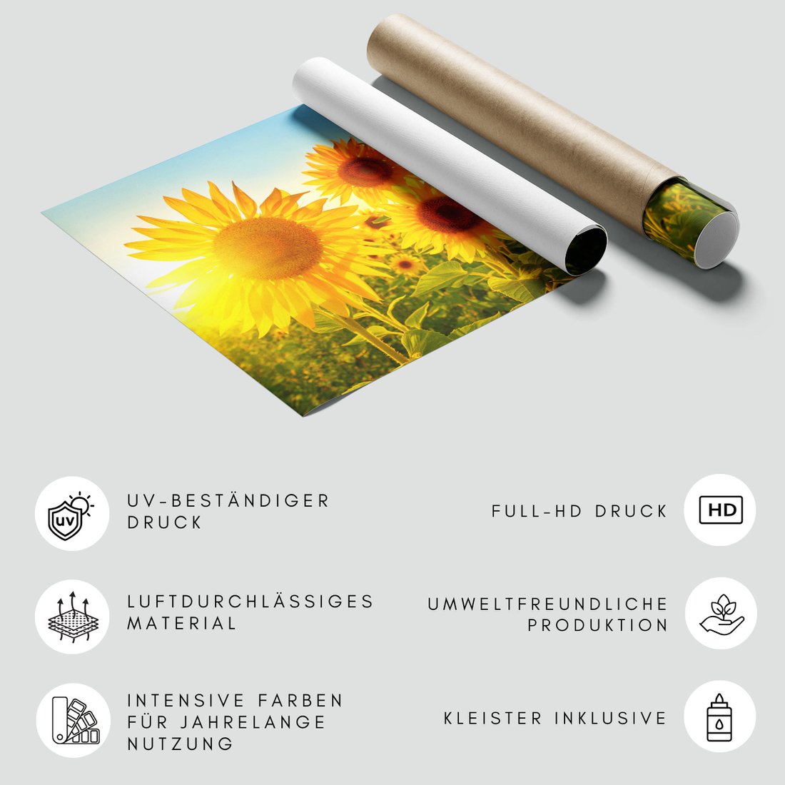 Fototapeta - słoneczniki, lato, słońce