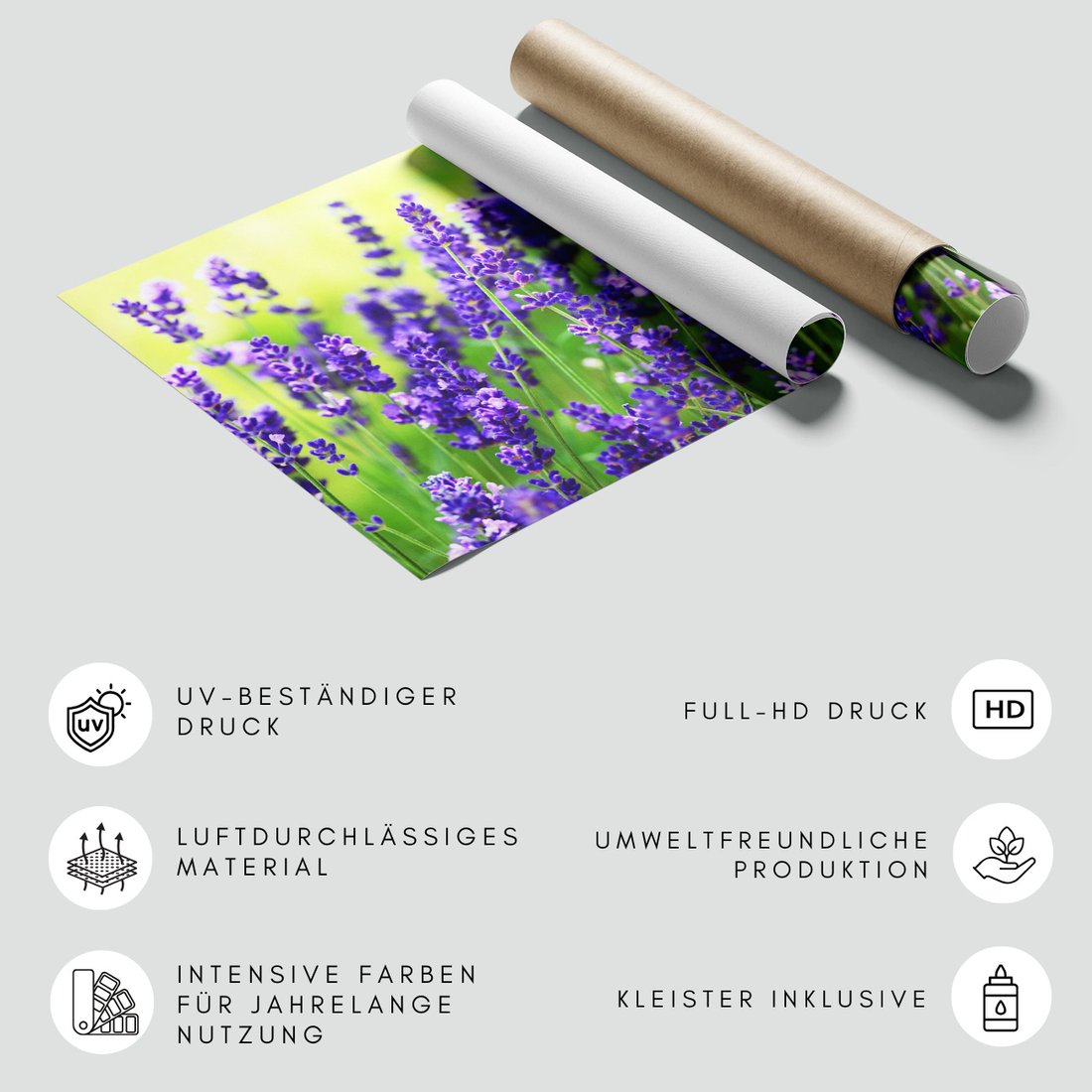 Fototapeta - lawenda, kwiaty, fioletowy