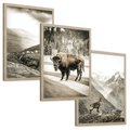 Zestaw obrazy w ramie, plakaty - krajobraz, zwierzę, góry - rama drewno