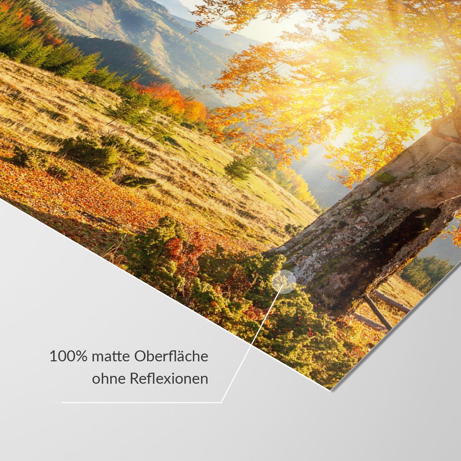 Fototapeta - krajobraz, jesień, góry