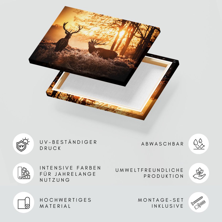 Obraz na płótnie - jelenie, natura, zachód słońca