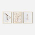 Zestaw obrazy w ramie, plakaty - bawełna, gałązki, delikatny - rama drewno