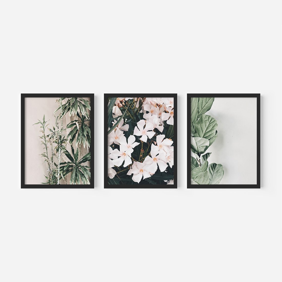 Zestaw obrazy w ramie, plakaty - rośliny, kwiaty, liście - rama czarna