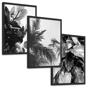 Zestaw obrazy w ramie, plakaty - liście, rośliny, natura - rama czarna