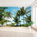 Fototapeta - palmy, morze, krajobraz