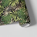 Tapeta - liście, monstera, natura