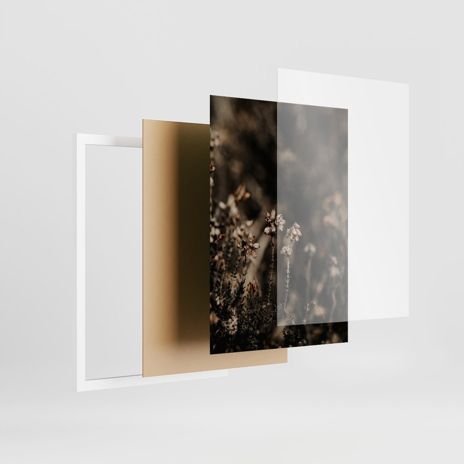 Zestaw obrazy w ramie, plakaty - przyroda, rośliny, natura - rama biała