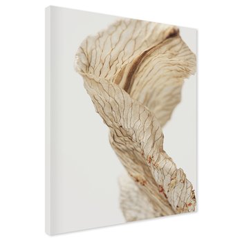 Obraz na płótnie - kwiat, suchy, abstrakcja