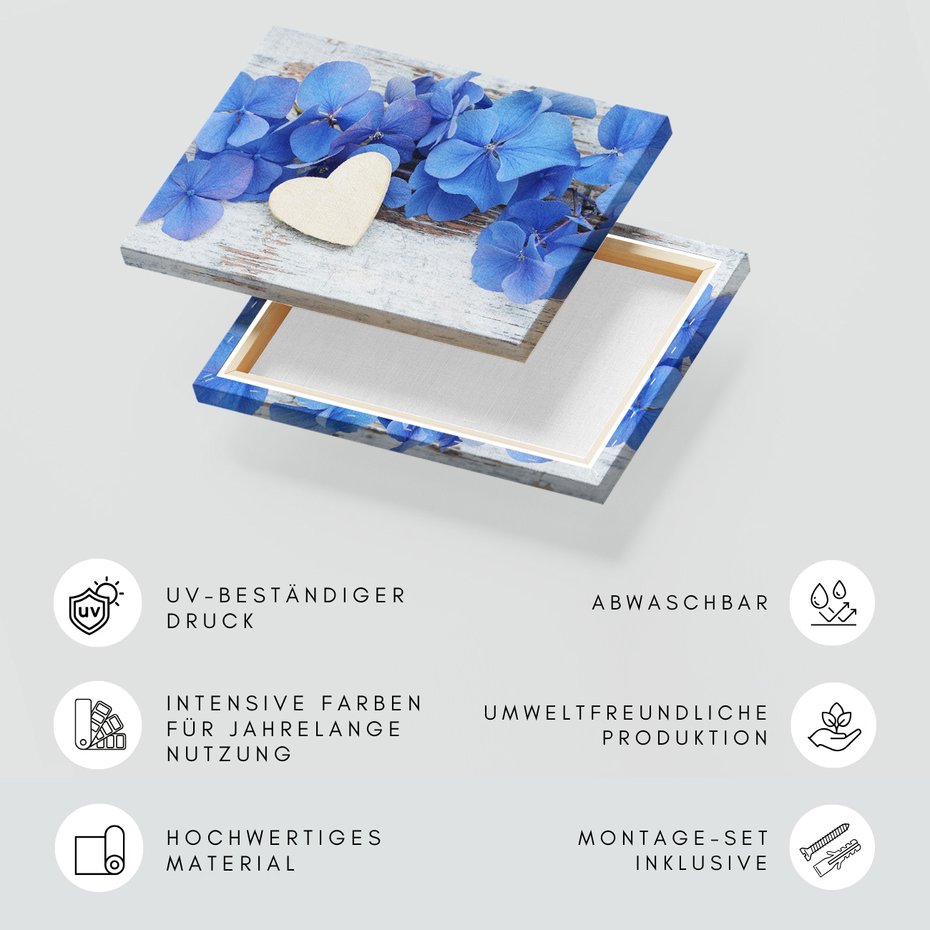 Obraz na płótnie - hortensje, kwiaty, serce