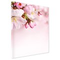 Obraz na płótnie - kwiaty, różowy, wiosna