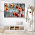Obraz na płótnie - maki, kwiaty, natura