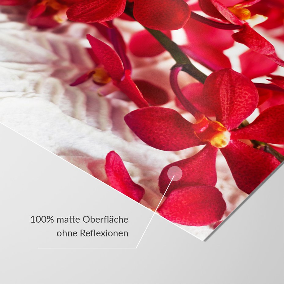 Fototapeta - kwiaty, czerwone, orchidee