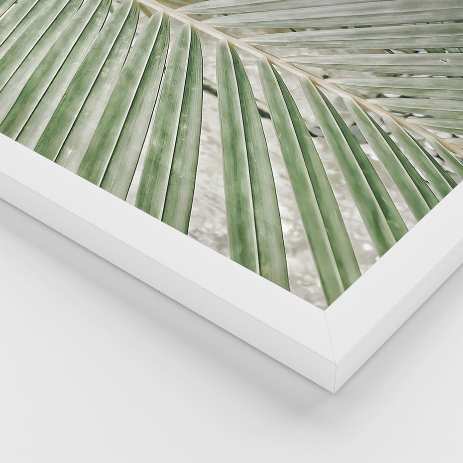 Zestaw obrazy w ramie, plakaty - liście, palmy, tropikalne - rama biała