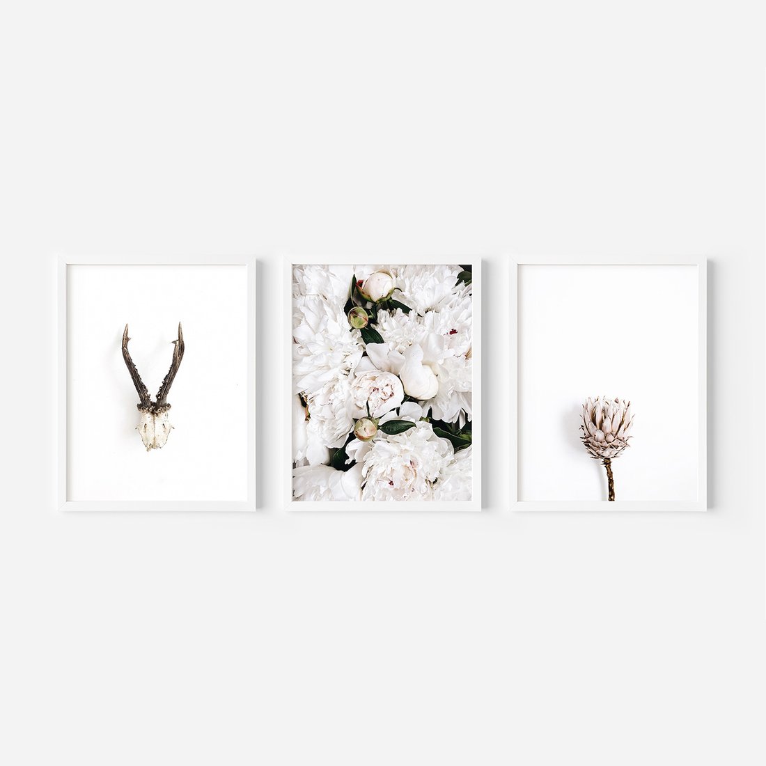 Zestaw obrazy w ramie, plakaty - kwiaty, minimalizm, roślina - rama biała
