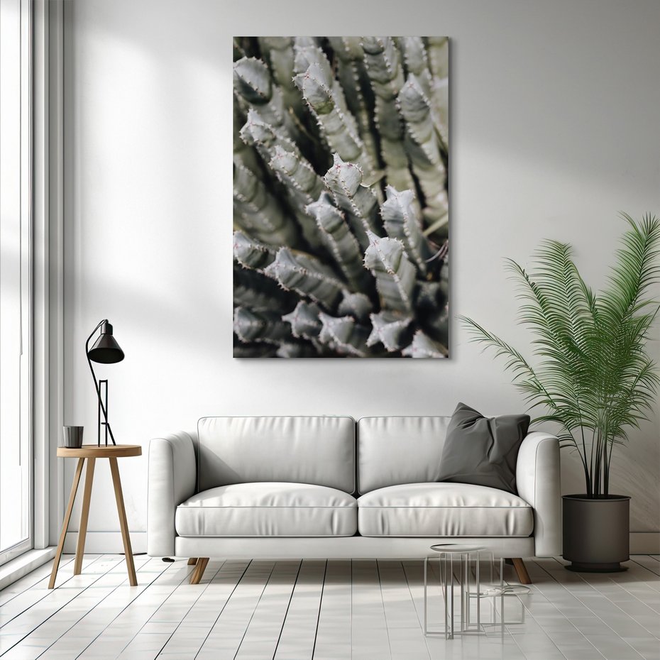 Obraz na płótnie - kaktus, sukulent, kolce