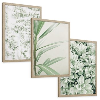 Zestaw obrazy w ramie, plakaty - liście, roślina, gałązka - rama drewno