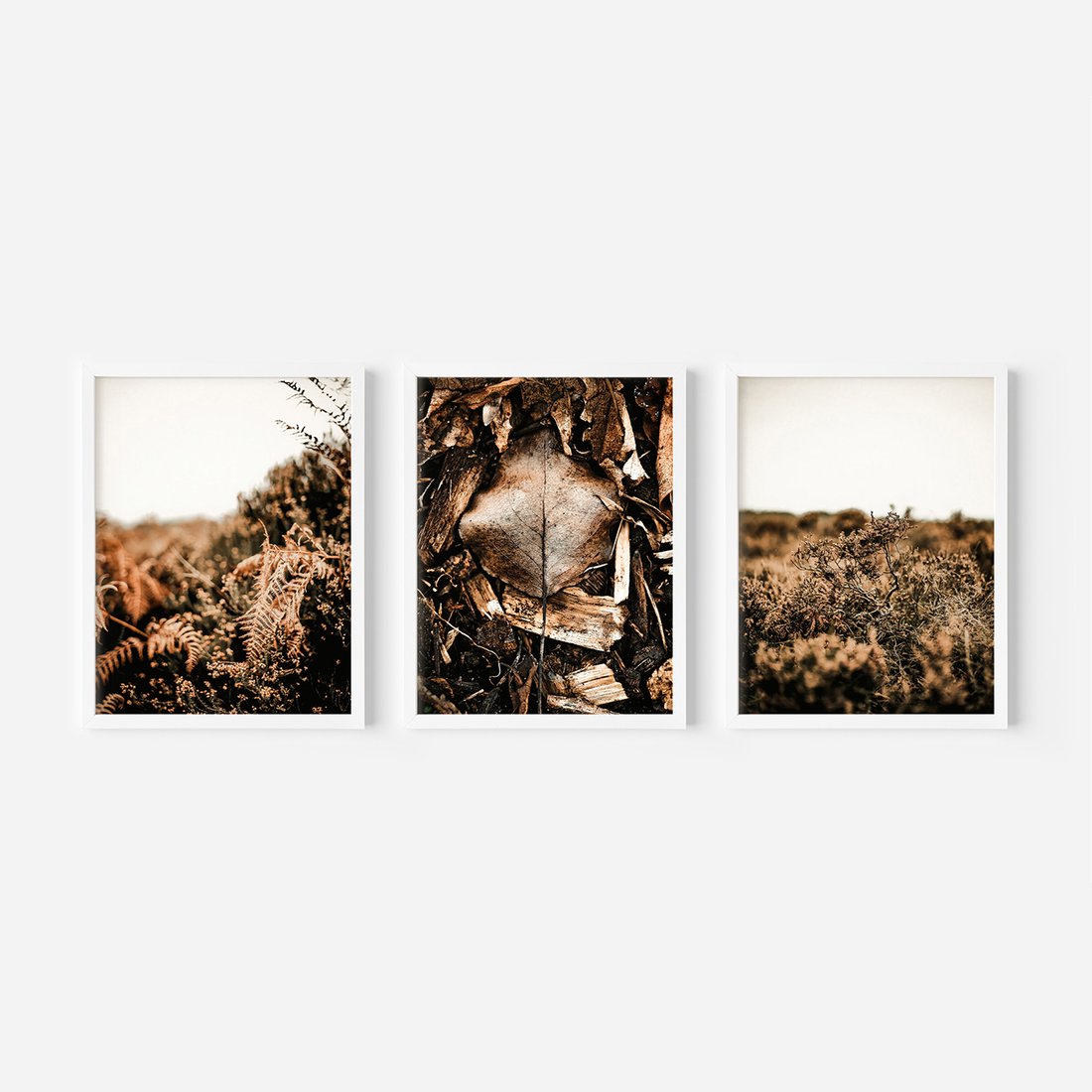 Zestaw obrazy w ramie, plakaty - liście, roślinność, brązowy - rama biała