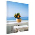 Obraz na płótnie - roślina, morze, niebo