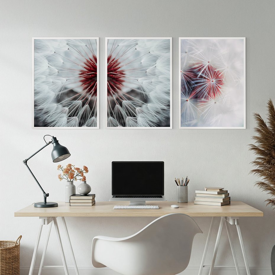 Zestaw obrazy w ramie, plakaty - dmuchawiec, natura, nasiona - rama biała