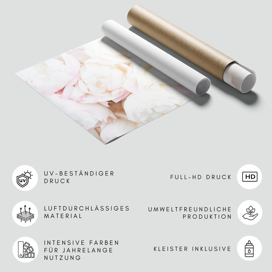 Fototapeta - kwiaty, białe, płatki