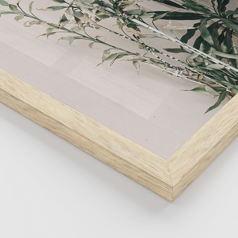 Zestaw obrazy w ramie, plakaty - rośliny, kwiaty, liście - rama drewno