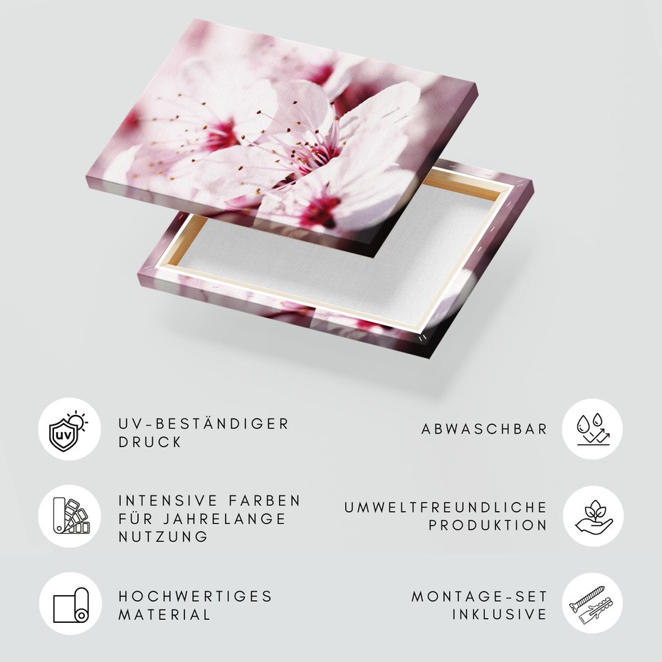 Obraz na płótnie - kwiat, wiosna, delikatność