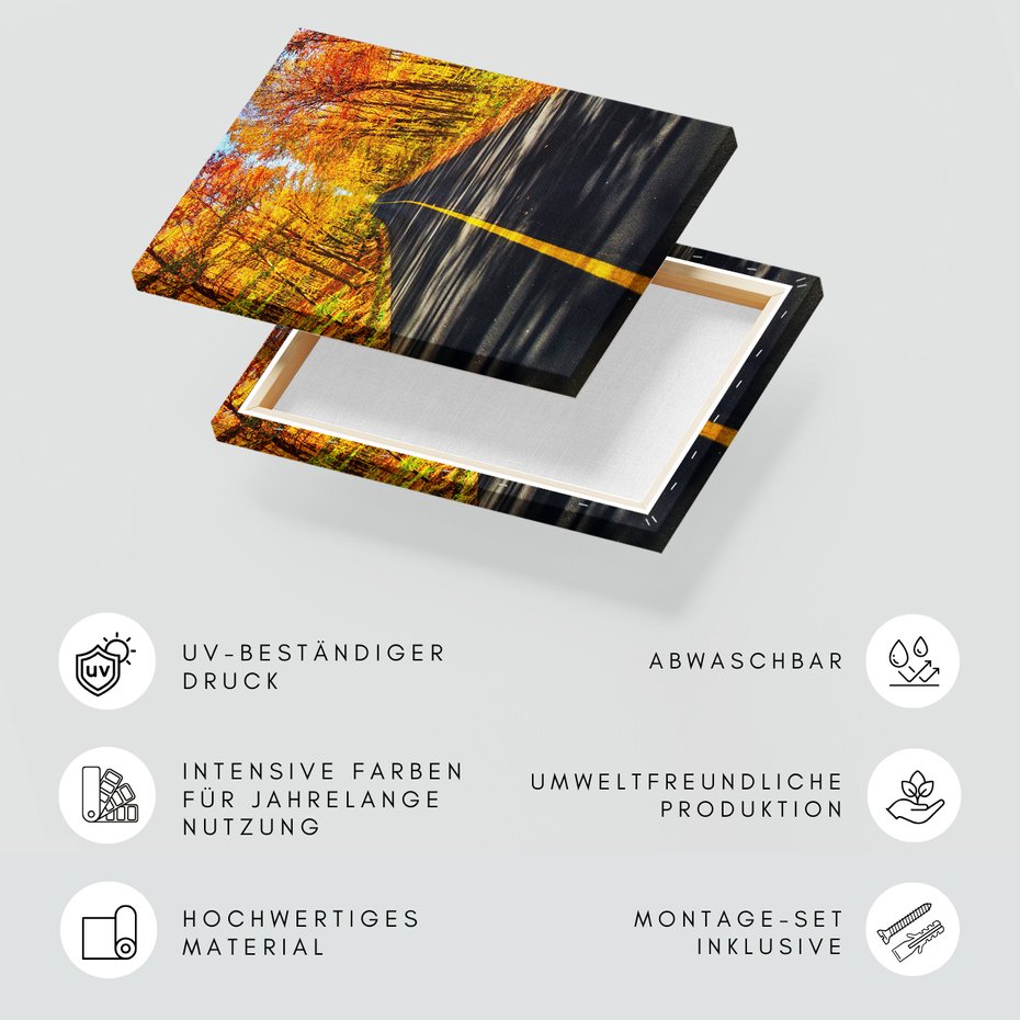 Obraz na płótnie - jesień, droga, las