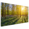 Obraz na płótnie - las, kwiaty, słońce