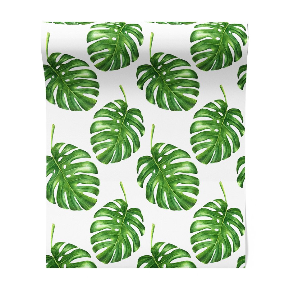 Tapeta - liście, monstera, wzór