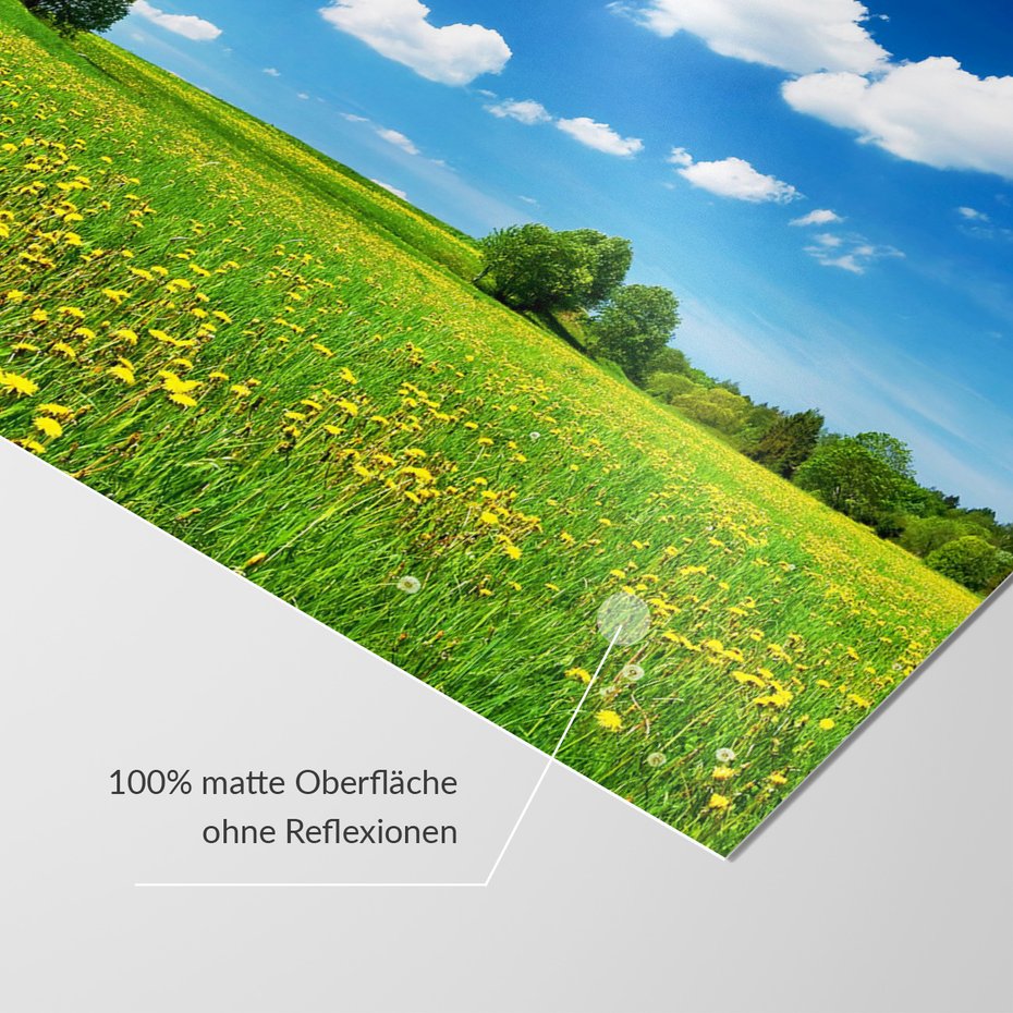 Fototapeta - łąka, chmury, natura