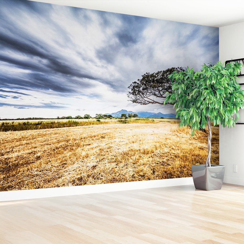 Fototapeta - krajobraz, drzewo, niebo