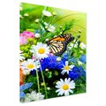 Obraz na płótnie - motyl, kwiaty, natura